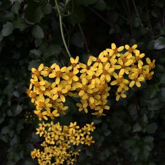 IMG 325